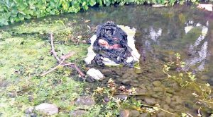 Arrojan a mujer embolsada a un arroyo de una comunidad de Papantla