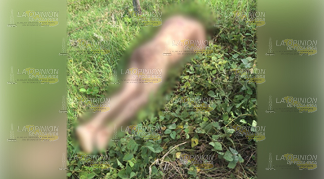 Asesinan al coordinador municipal de Bienestar en Venustiano Carranza