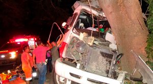 Autobús choca contra árbol en paraje del ejido Agua Nacida Autobús choca contra árbol en paraje del ejido Agua Nacida