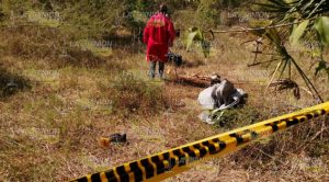 Campesinos hallan restos humanos en Tihuatlán Hallan osamenta en lote baldío de Paso del Pital, Tihuatlán