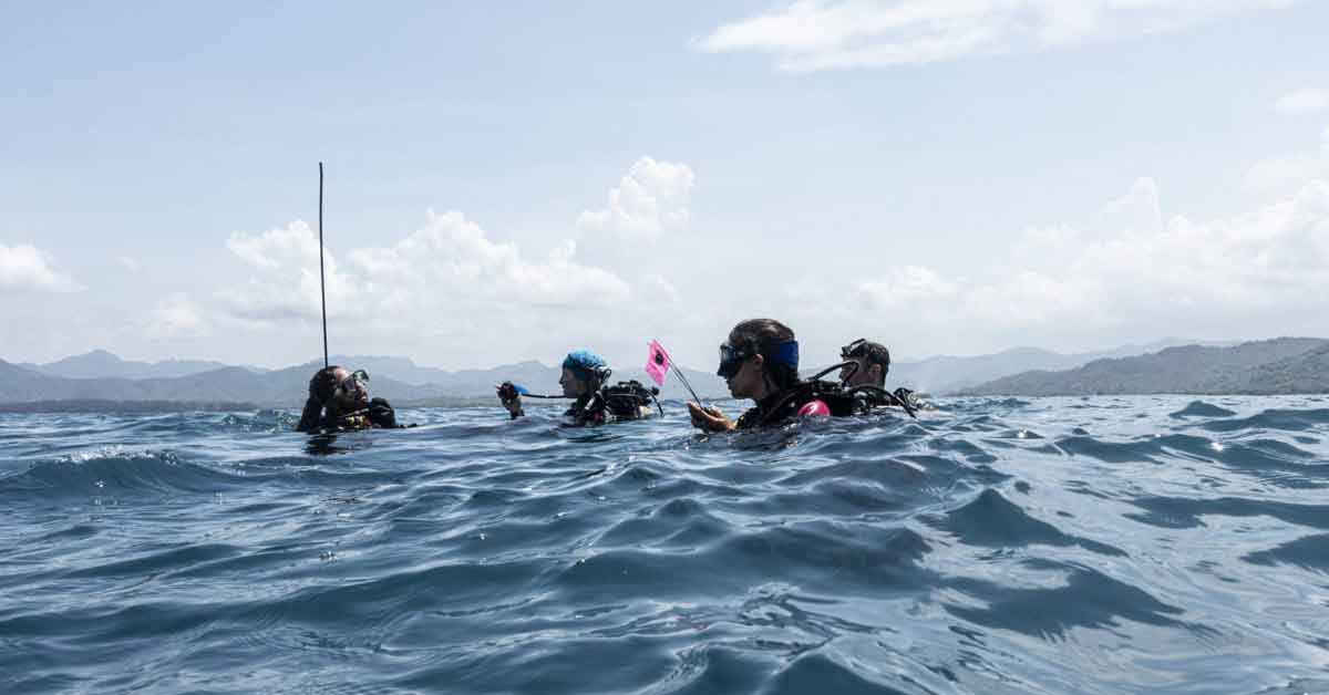 Un ancla y una pieza de madera: los arqueólogos se acercan a los barcos de Cortés