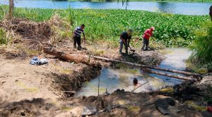 Desesperante contingencia por la sequia en Cazones de Herrera Desesperante contingencia por la sequia en Cazones de Herrera