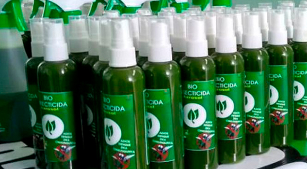 Estudiantes de Coatepec, Veracruz venden bioinsecticida para combatir el dengue Estudiantes de Coatepec, Veracruz venden bioinsecticida para combatir el dengue