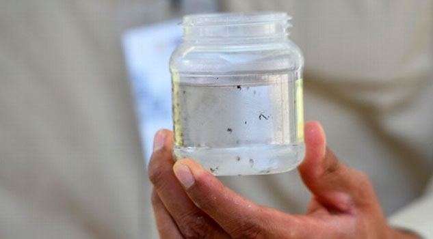 Fallece niño por presunto dengue hemorrágico en el estado de Veracruz