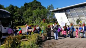 Gestiona DIF Poza Rica aparatos auditivos