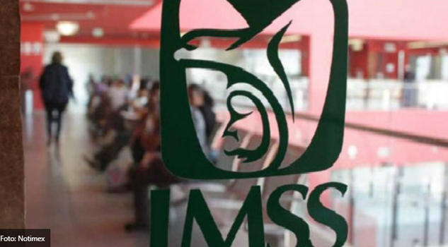 IMSS destaca que se han creado 306 mil 14 empleos durante 2019