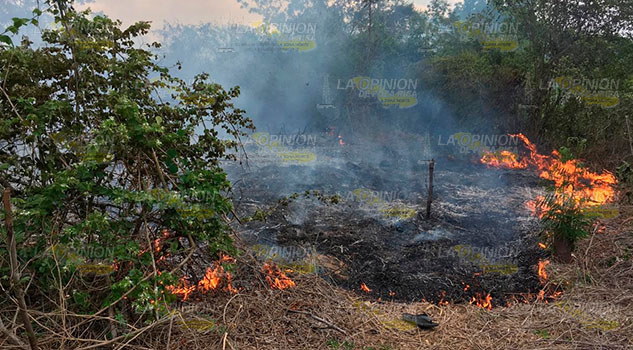 Incendio de pastizal casi alcanza un poblado en Papantla Incendio de pastizal casi alcanza un poblado en Papantla
