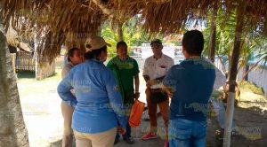 Intervienen autoridades federales por muerte de tortugas en redes para pesca Intervienen autoridades federales por muerte de tortugas en redes para pesca