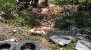 Limpian basurero a cielo abierto en La Morelos