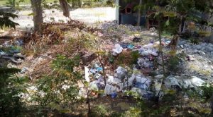 Limpian basurero a cielo abierto en La Morelos