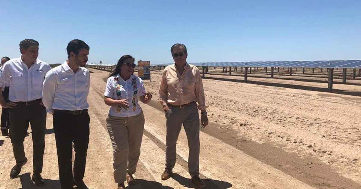 Energía renovable para 220 mil hogares