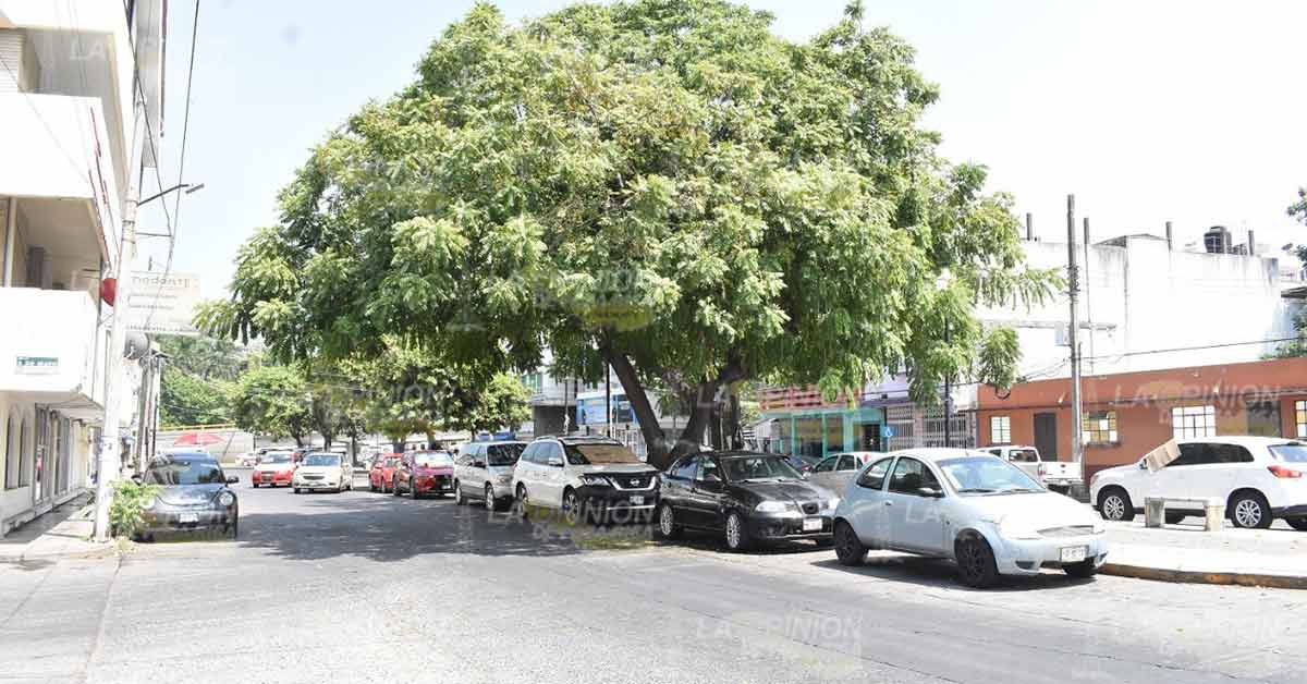Se atenderá la Avenida Manlio Fabio Altamirano en Poza Rica