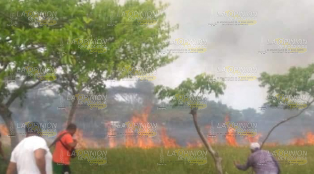 Sanciones para quienes provoquen incendios en terrenos baldíos