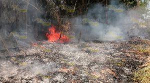 Se quema otra pastizal a un costado del puente Cazones II Se quema otra pastizal a un costado del puente Cazones II