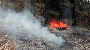 Se quema otra pastizal a un costado del puente Cazones II Se quema otra pastizal a un costado del puente Cazones II