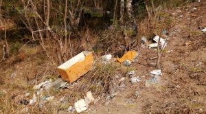Se quema otra pastizal a un costado del puente Cazones II Se quema otra pastizal a un costado del puente Cazones II