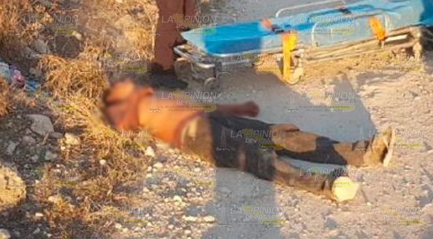 Sujeto es atacado por abejas en la colonia Tantima Sujeto es atacado por abejas en la colonia Tantima