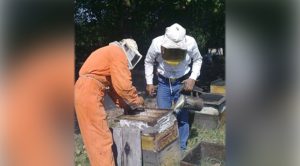 Va Álamo por el primer lugar