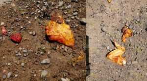 Vento chocó contra taxi y una motocicleta en la Halliburton en Poza Rica Vento chocó contra taxi y una motocicleta en la Halliburton en Poza Rica