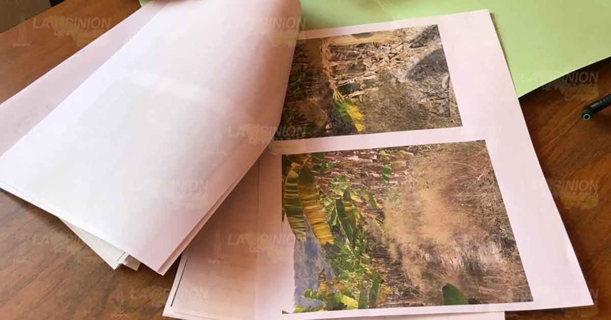 Debido a daños por el calor, campesinos solicitan el seguro catastrófico