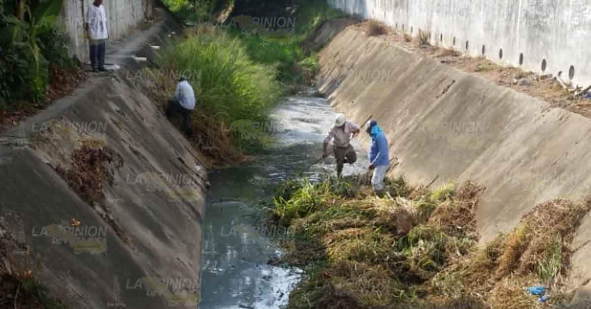 Previenen inundaciones en Gutiérrez Zamora