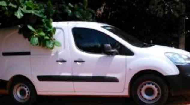 Detienen a 3 sujetos, uno por homicidio y dos por robo con violencia