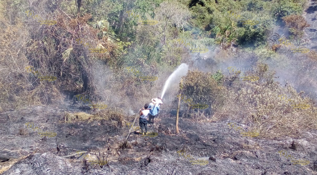 Arde pastizal en la colonia Socialista de Álamo