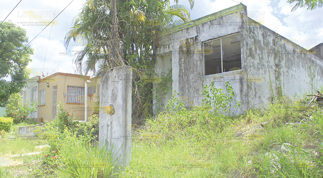 Viven en el abandono en Poza Rica