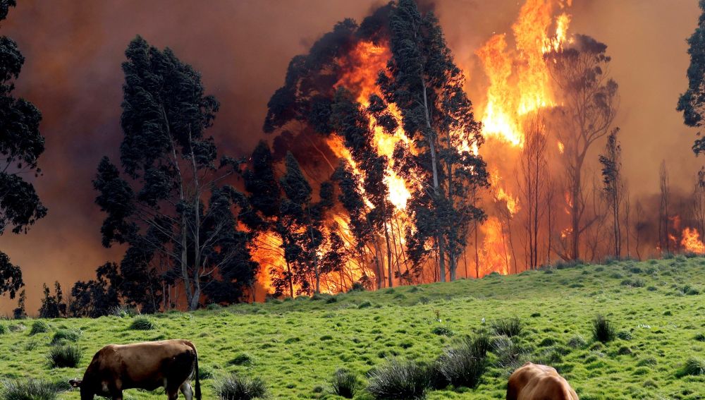 100 incendios forestales en sólo 3 meses