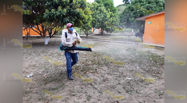 Bajo amenaza de dengue, Cazones