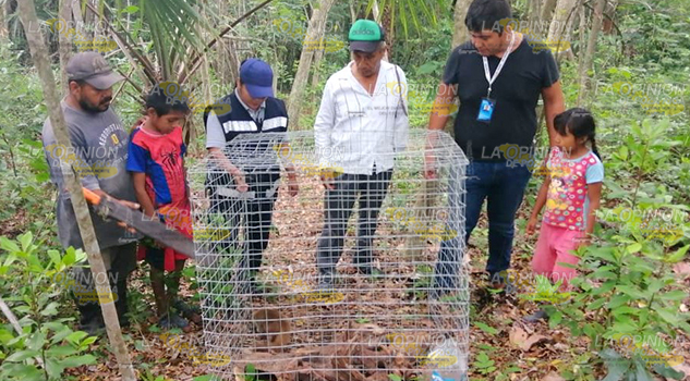Proyectan una Unidad de Manejo Ambiental en el municipio de Álamo
