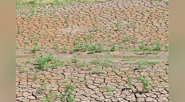 Ciudades australianas podrían quedarse sin agua en noviembre