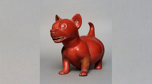 Xoloitzcuintle: historia del perro y joya azteca