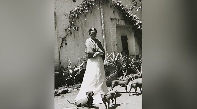 Xoloitzcuintle: historia del perro y joya azteca