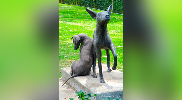 Xoloitzcuintle: historia del perro y joya azteca