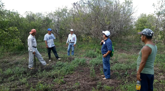 40 mil hectáreas siniestradas en Álamo