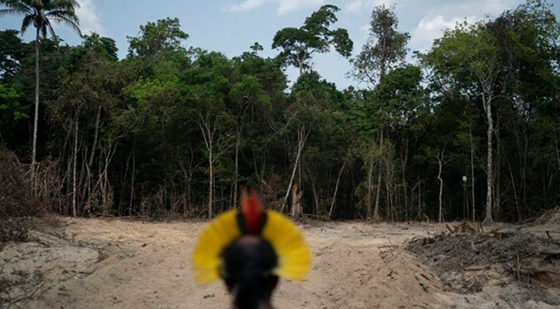 Brasil: Líder indígena en la Amazonía busca combatir la tala
