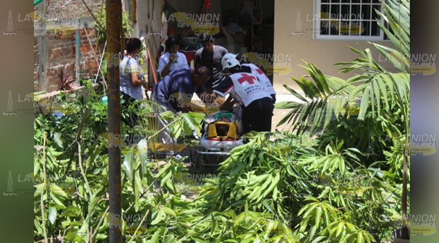 Jardinero cayó de más de 5 metros de altura cuando cortaba las ramas de una árbol de Mango