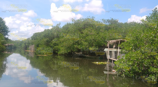 Zona de manglar atrae al turismo
