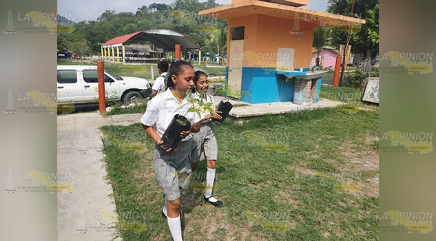 Inculcan en jóvenes estudiantes el cuidados del medio ambiente