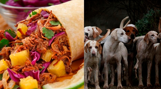 Alimentaba a sus hijos con restos de perros Alimentaba a sus hijos con restos de perros