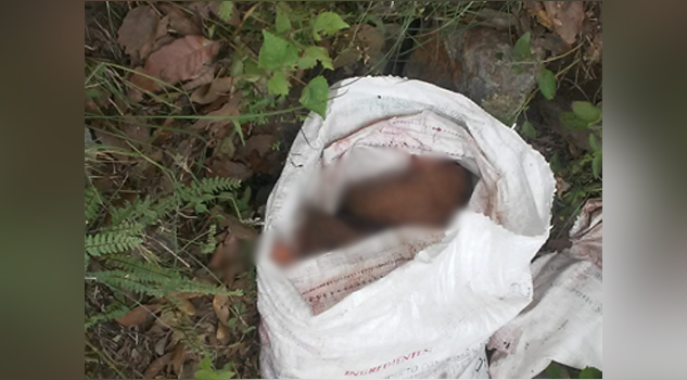 Aparece descuartizado dentro de un costal en Tepejí del Río