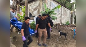 Asesina a su mujer y luego se suicida cobarde sujeto en Papantla