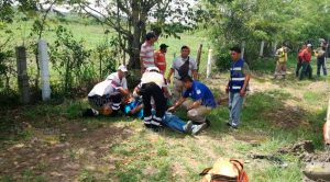 Autobús choca contra camioneta y se sale de la carretera México - Tuxpan Autobús choca contra camioneta y se sale de la carretera México - Tuxpan