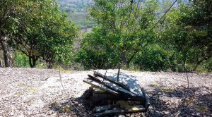 Continúa el daño a El Tajín, siguen los trabajos en la zona Continúa el daño a El Tajín, siguen los trabajos en la zona