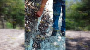 Continúa el daño a El Tajín, siguen los trabajos en la zona Continúa el daño a El Tajín, siguen los trabajos en la zona