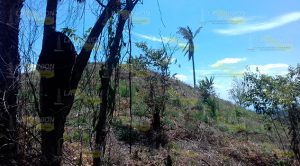 Continúa el daño a El Tajín, siguen los trabajos en la zona Continúa el daño a El Tajín, siguen los trabajos en la zona