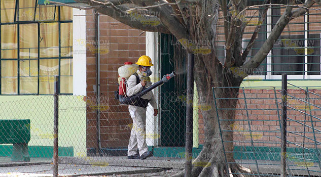 Dengue en colonias "fifí" de Poza Rica Dengue en colonias "fifí" de Poza Rica
