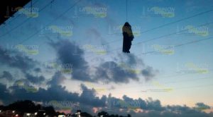 Ahorcan a El Jarocho en el puente Tuxpan Ejecutan a El Jarocho, lo cuelgan del puente Tuxpan