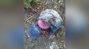 Piden apoyo para localizar menor extraviada hace 1 año